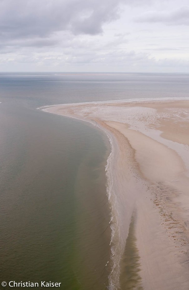 Deichvorland von Eiderstedt