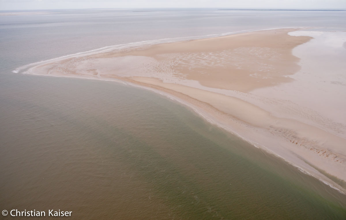 Deichvorland von Eiderstedt