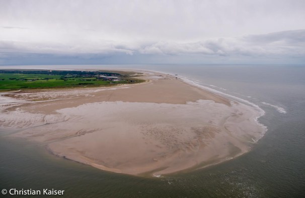 Deichvorland von Eiderstedt