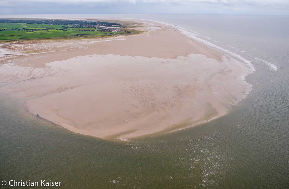 Deichvorland von Eiderstedt