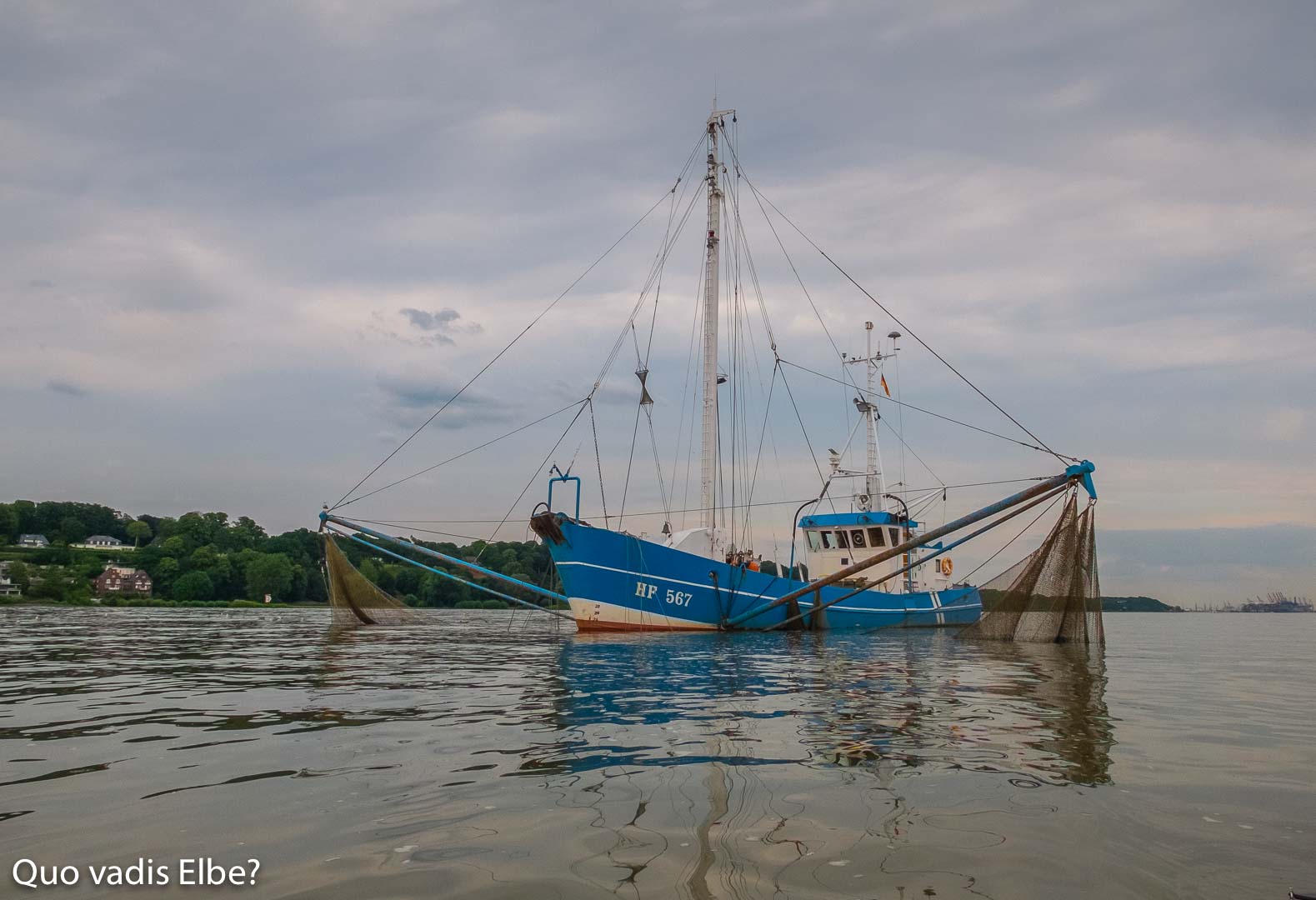 Fischkutter HF 567 fischt vor dem Mühlenberg auf der Elbe