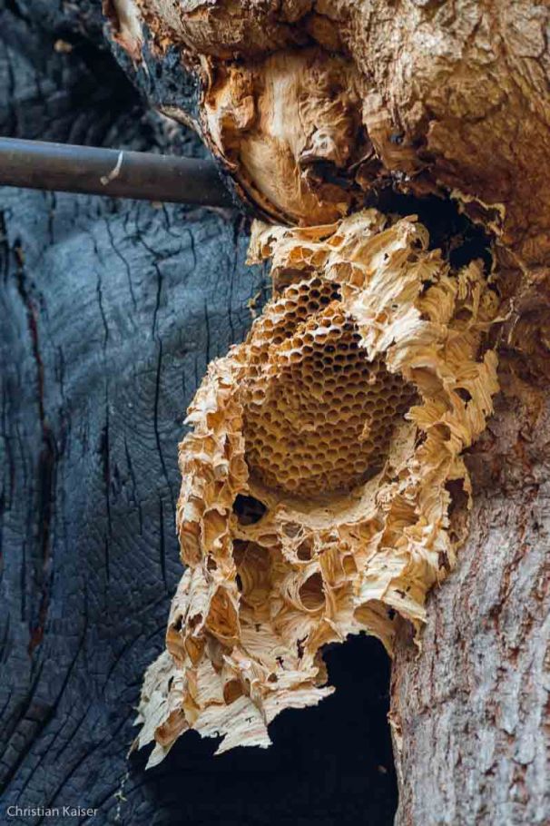 Herbst Impressionen in Hamburg