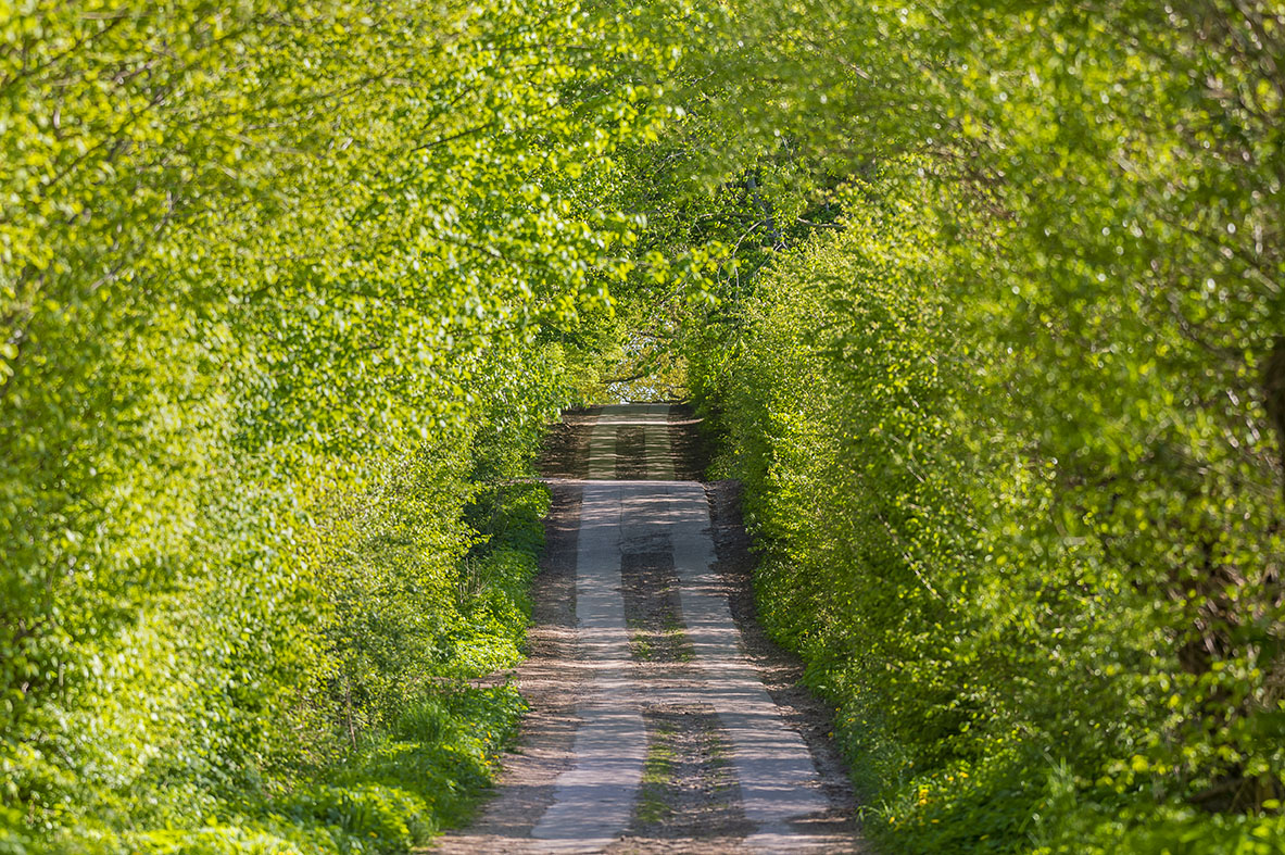 Landwirtschaftlicher Fahrweg, Redder genannt