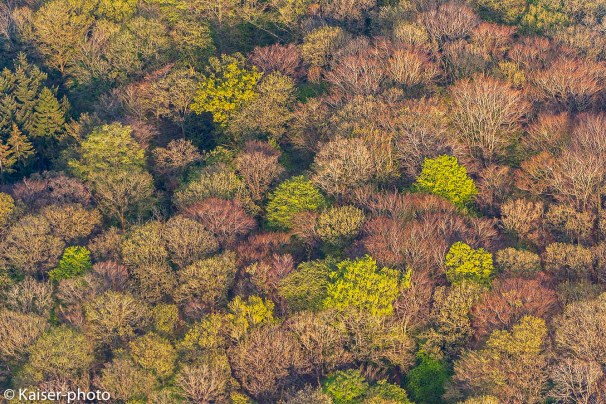 Wälder aus der Vogelperspektive.
