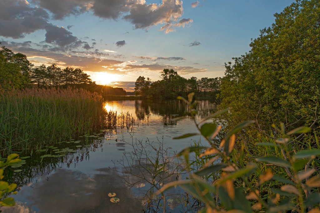 Lassahner See, Schaalsee, Abendlicht, Sonnenuntergang, Biosphaerenreservat, Mecklenburg
