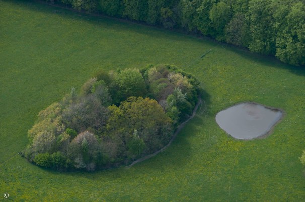 Dead ice hole with trees